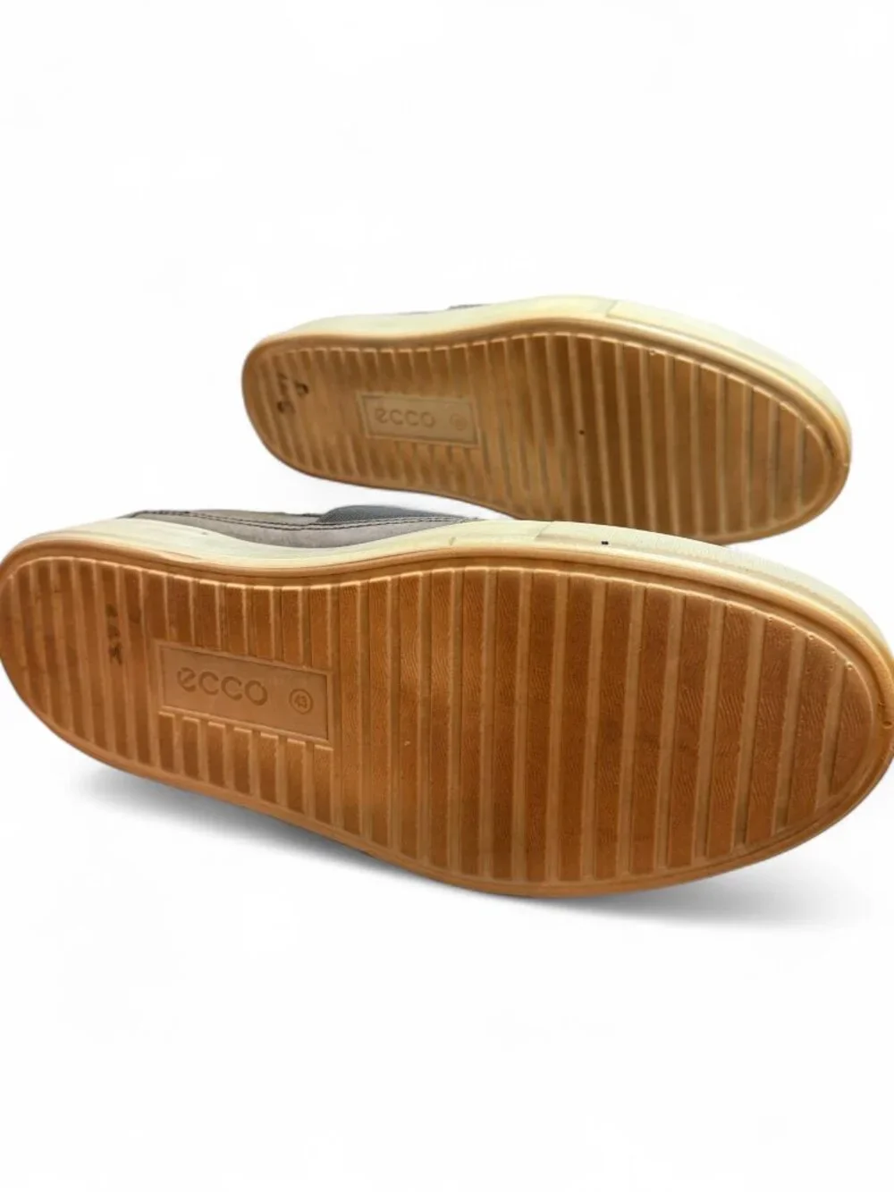 Ecco experience comfort